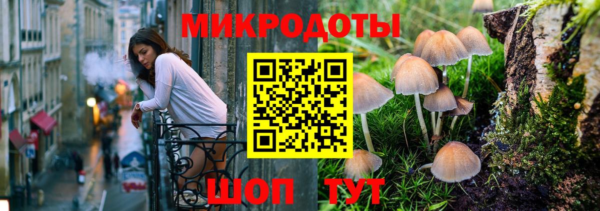 Качканар  Псилоцибиновые грибы Psilocybe  Вход с VPN 